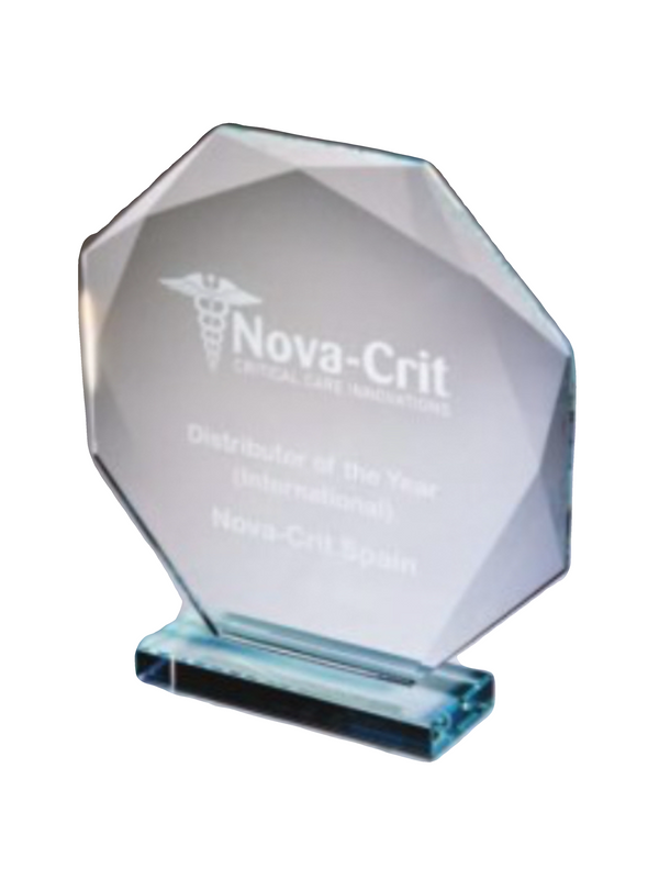 Clear Glass Octagon Award - CR11